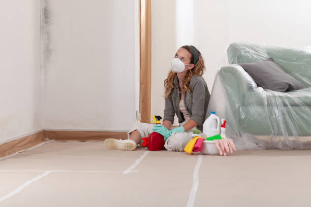 Reliable Basement Mold Remediation contractor in Keansburg, NJ by WQB Mold Removal
